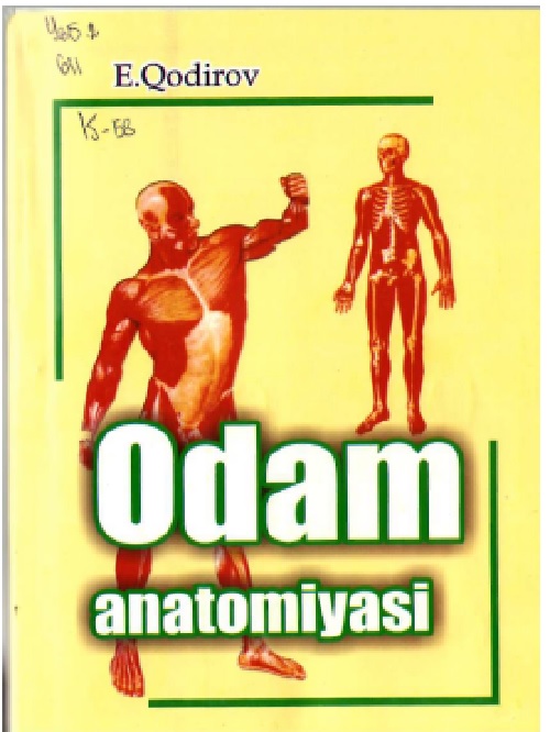 1eqodirovodamanatomiyasidarslik2007.jpeg