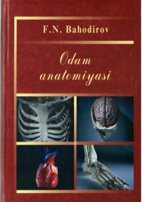 21fnbahodirovodamanatomiyasidarslik2006.jpeg