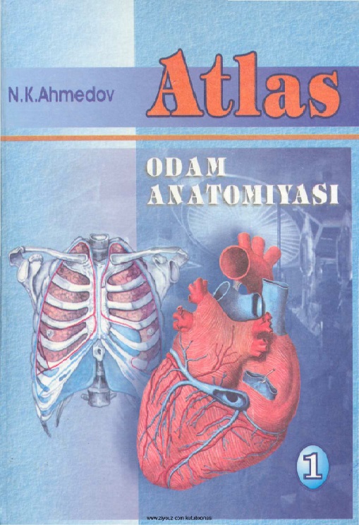 221nkaxmedovatlasodamanatomiyasidarslik20051tom.jpeg