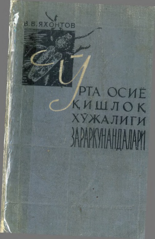 2urtaosiyokishxujzar.jpeg