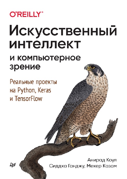 iskusstvennyyintellektikompyuternoyezreniyerealnyyeproyektyna.jpeg