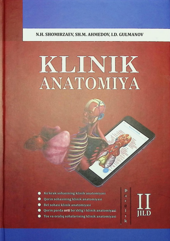 kilinikanatomiya2.png