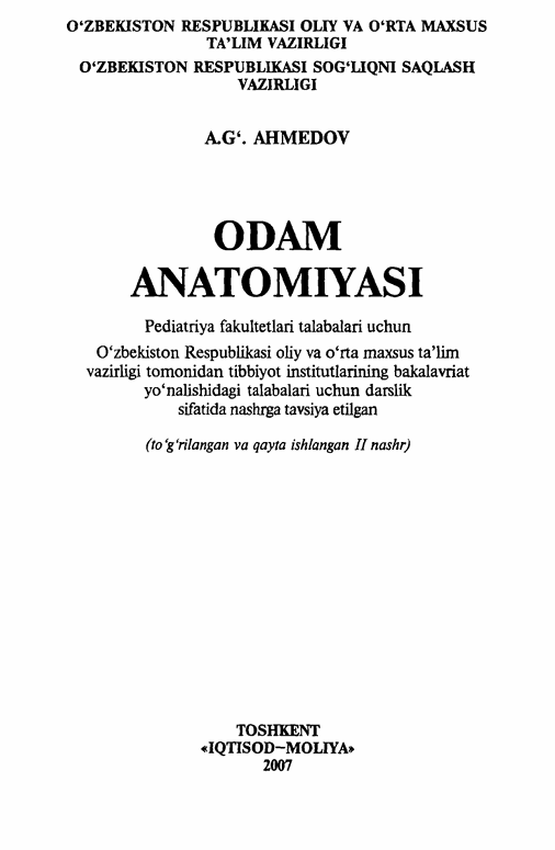 odamanatomiyasi.png