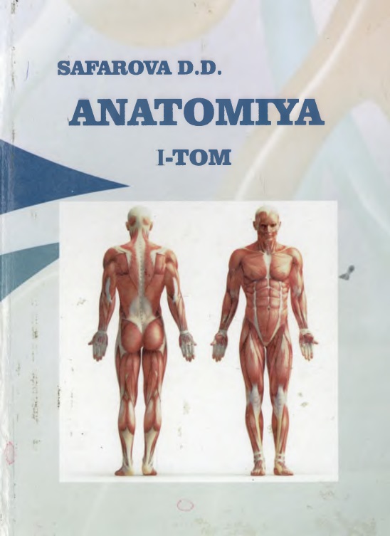 safarovaanatomiya.jpeg